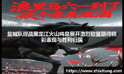 MK体育集团